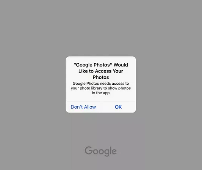 Step 2 to Use Google Lens with Google Photos