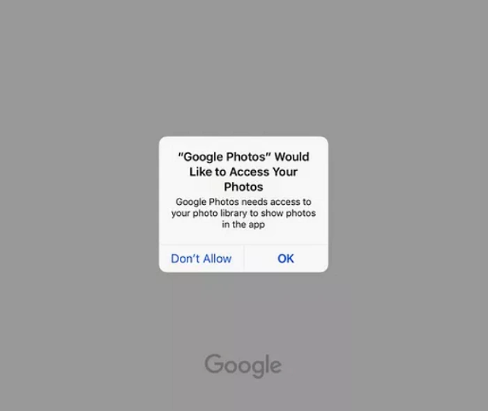 How to Use Google Lens on iPhone and iPad | A Complete Guide 9 Step 2 to Use Google Lens with Google Photos