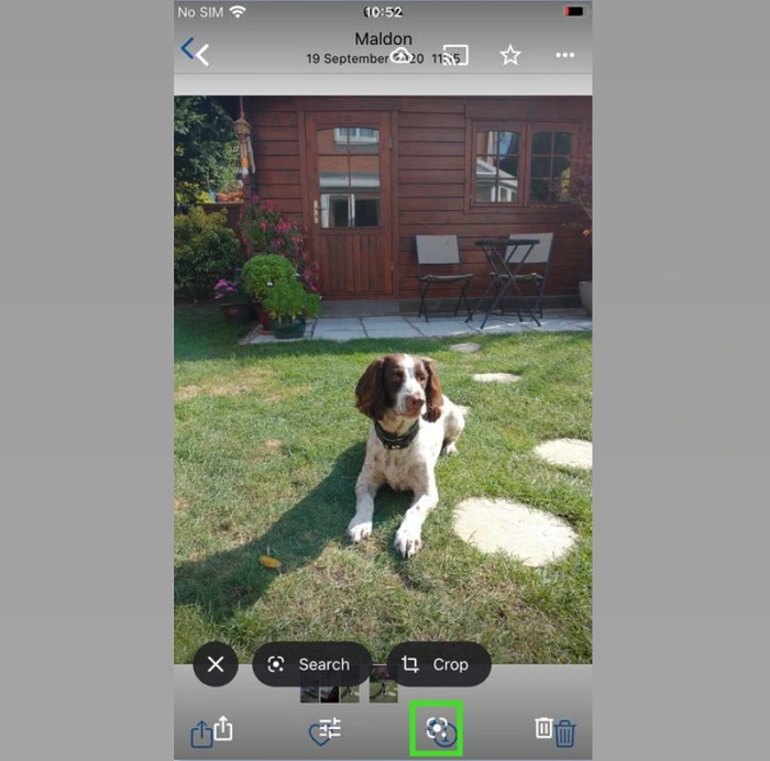 Step 3 to Use Google Lens with Google Photos