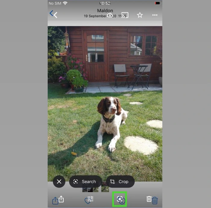 How to Use Google Lens on iPhone and iPad | A Complete Guide 10 Step 3 to Use Google Lens with Google Photos