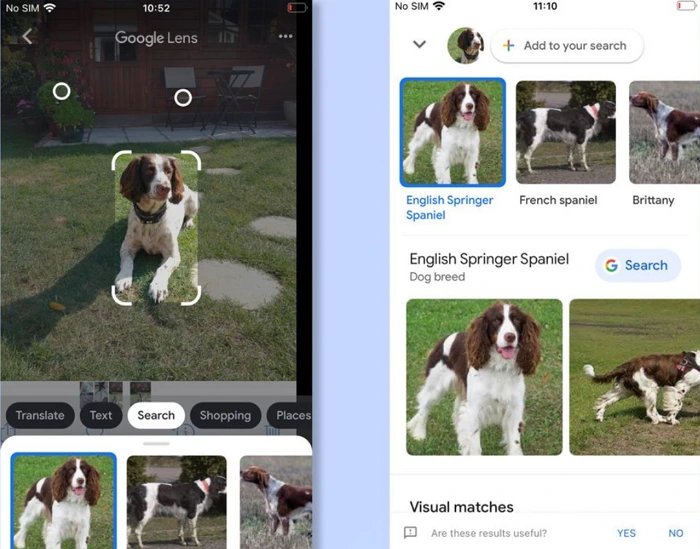 Step 4 to Use Google Lens with Google Photos